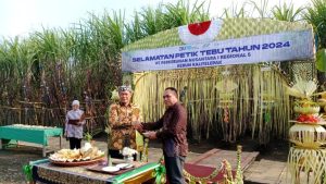 Gelar Acara Tasyakuran PTPN 1 Regional 5 Kebun Kalitelepak Sambut Panen Tebu Tahun 2024