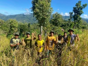 Satgas Pamtas RI–RDTL Sektor Barat Yonarhanud 15/DBY Dalam upaya mendukung ketahanan pangan sekaligus meningkatkan perekonimian warga di wilayah perbatasan