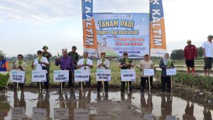 Sinergi Agrosolution Pupuk Kaltim, Dandim 0825/Banyuwangi Dorong Ketahanan Pangan Produktif di Banyuwangi Melalui Penanaman Padi Perdana