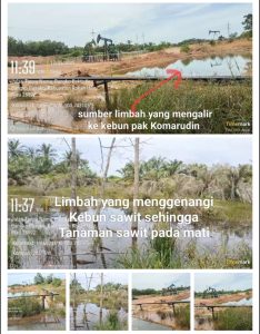 Diketahui tanpa SOP, sejumlah Perusahaan yang sup kon ke PHR diduga melanggar Hak Azasi Manusia