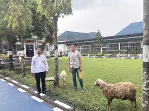 BRI BO Iskandar Muda Medan Berikan Satu Ekor Kambing Untuk Pemotongan Idul Adha di Rutan kelas Satu Medan