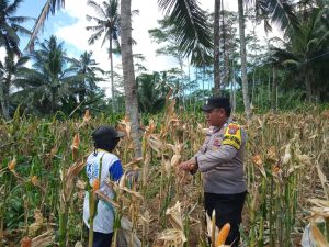 Perkuat Pengamanan Selat Bali, Lanal Banyuwangi Dukung Penuh Pembangunan Stasiun Bakamla