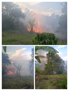 Kebakaran Lahan Terjadi Disitaotao, Polisi Amankan Pemilik Lahan