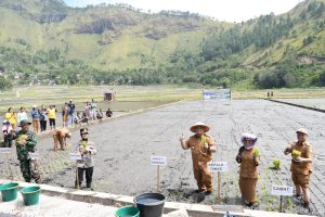 Pemkab Samosir Gelar “Festival Manuan Eme”, Dorong Swasembada Pangan dan Kembangkan Agrowisata