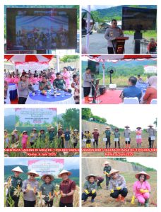 Polres Sibolga Dan Forkopimda Kota Sibolga Panen Raya Jagung Serentak Kuartal II Tahun 2025