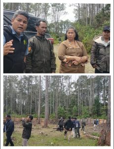Tim Balai Kehutanan Cek Lokasi Penebangan Kayu di Wilayah HKM Dosroha di Samosir