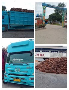 PKS Milik BUMN di duga menerima TBS asal asalan dari pihak ketiga