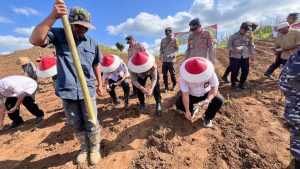 *Dukung Asta Cita Presiden Prabowo, Polresta Banyuwangi Tanam Jagung Serentak Kuartal III di Lahan PTPN*