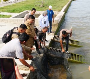 LKBN ANTARA dan Pemkab Samosir Tebar 3.000 Benih Ikan Mas di Danau Toba
