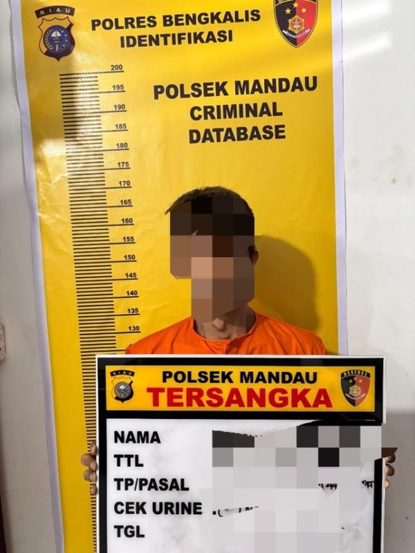 Akibat menganiaya ibu kandung ZF masuk penjara