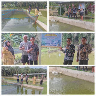 20 ribu ekor ikan patin di Budidaya Desa Pematang Obo kecamatan Bhatin solapan