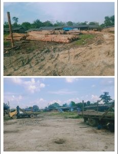 Teamsus DPC GRIB Jaya Sarolangun Soroti Dugaan Ilegal Logging