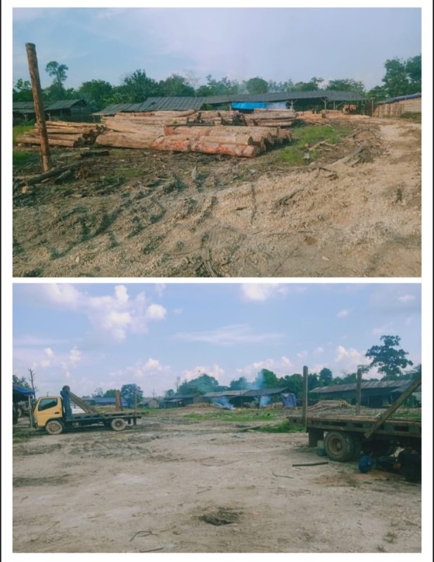 Teamsus DPC GRIB Jaya Sarolangun Soroti Dugaan Ilegal Logging